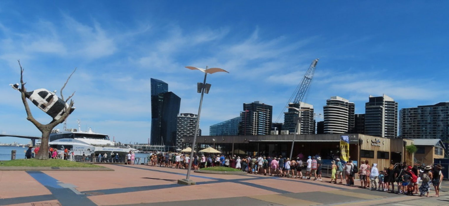 Cow up a tree, Docklands
